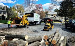 Best Lawn Drainage Solutions  in West Freehold, NJ