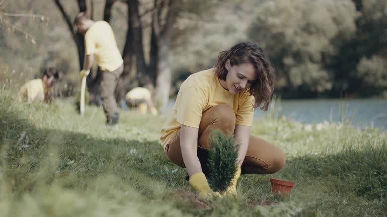 Best Stump Grinding and Removal  in West Freehold, NJ