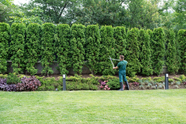 Best Lawn Mowing  in West Freehold, NJ