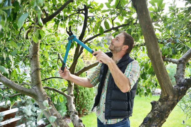 Best Tree Health Inspection  in West Freehold, NJ
